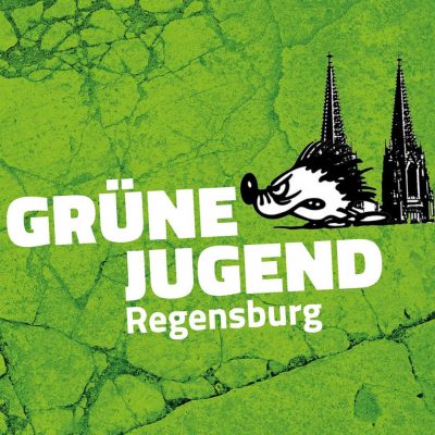 Grüne Jugend Regensburg neben einem Igel und Dom