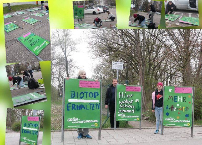 Grüne geben Biotop und Bäumen an der Lilienthalstraße eine Stimme